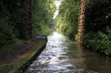 Along the Shropshire Union Canal
