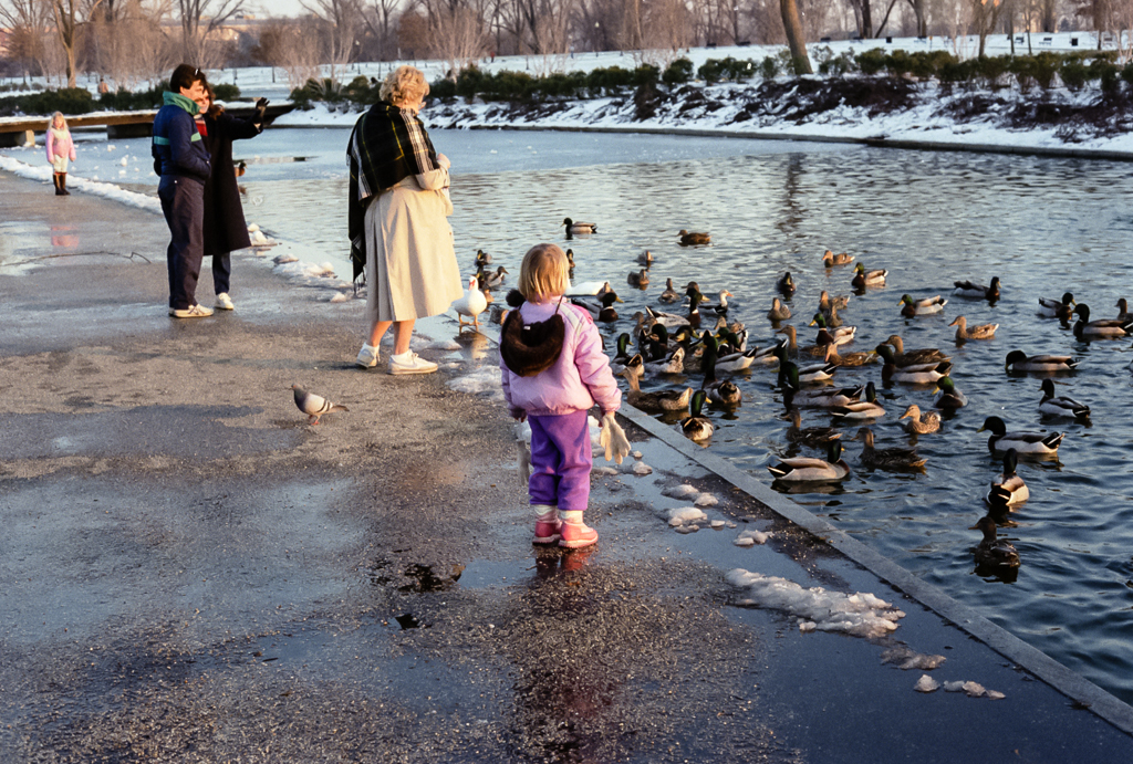 slideshow image