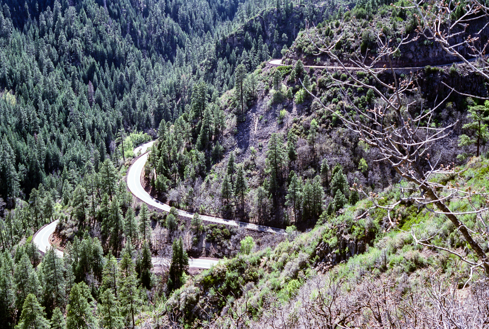 slideshow image