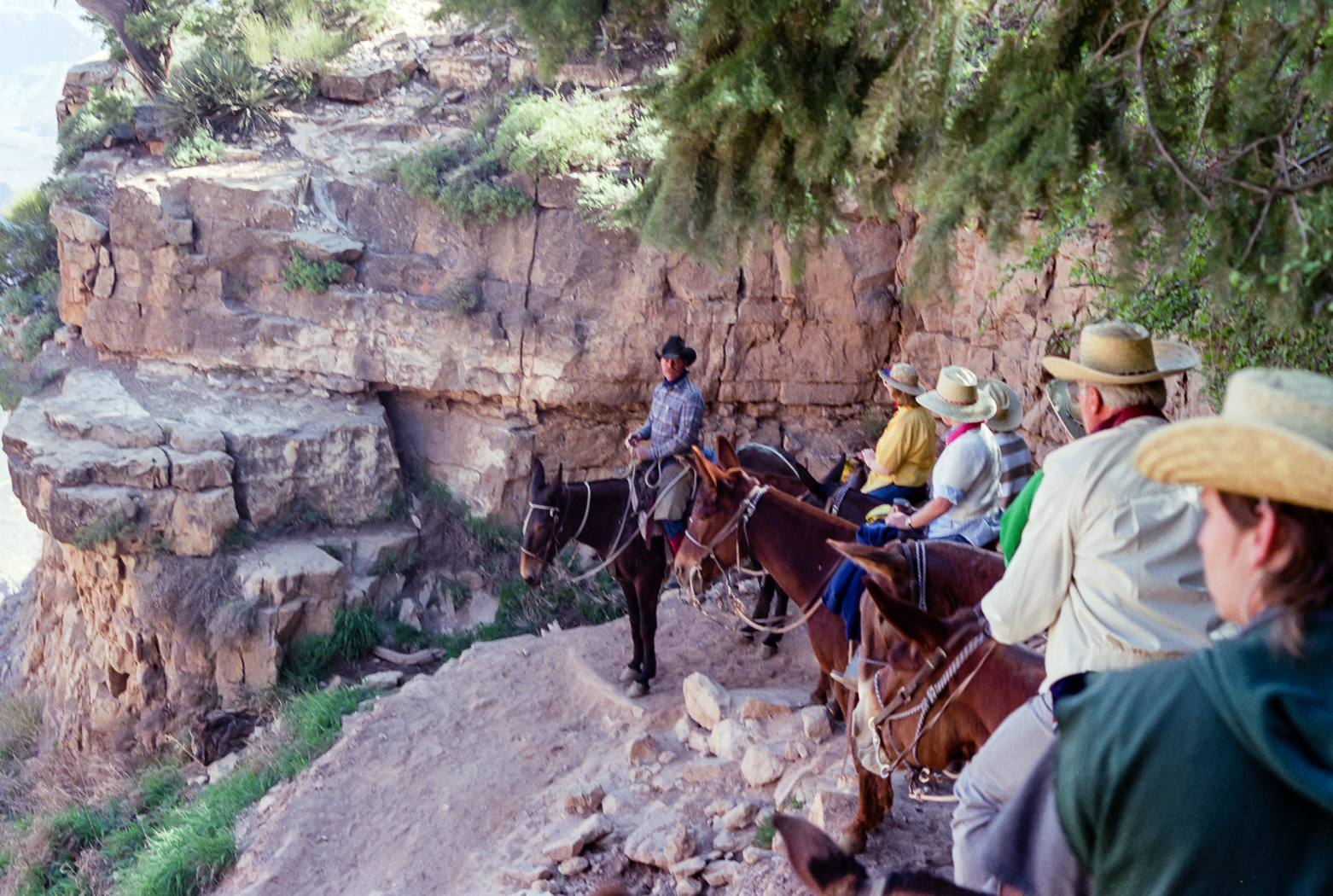 slideshow image