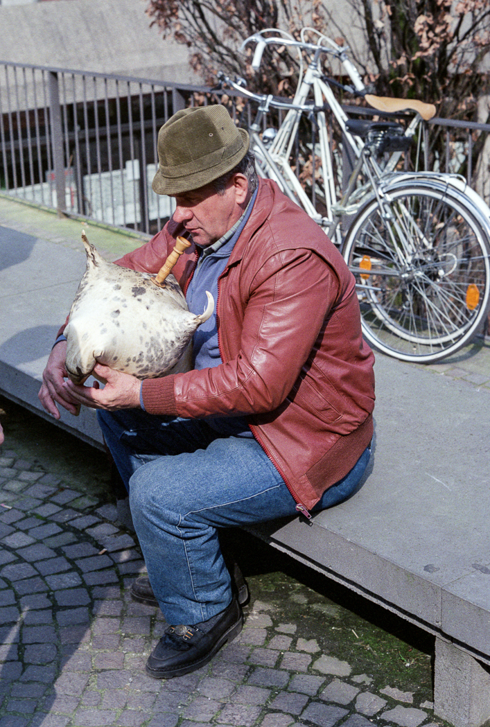 slideshow image