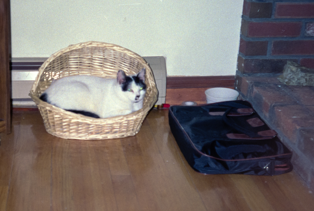 slideshow image