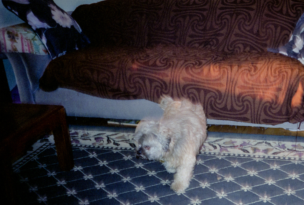 slideshow image
