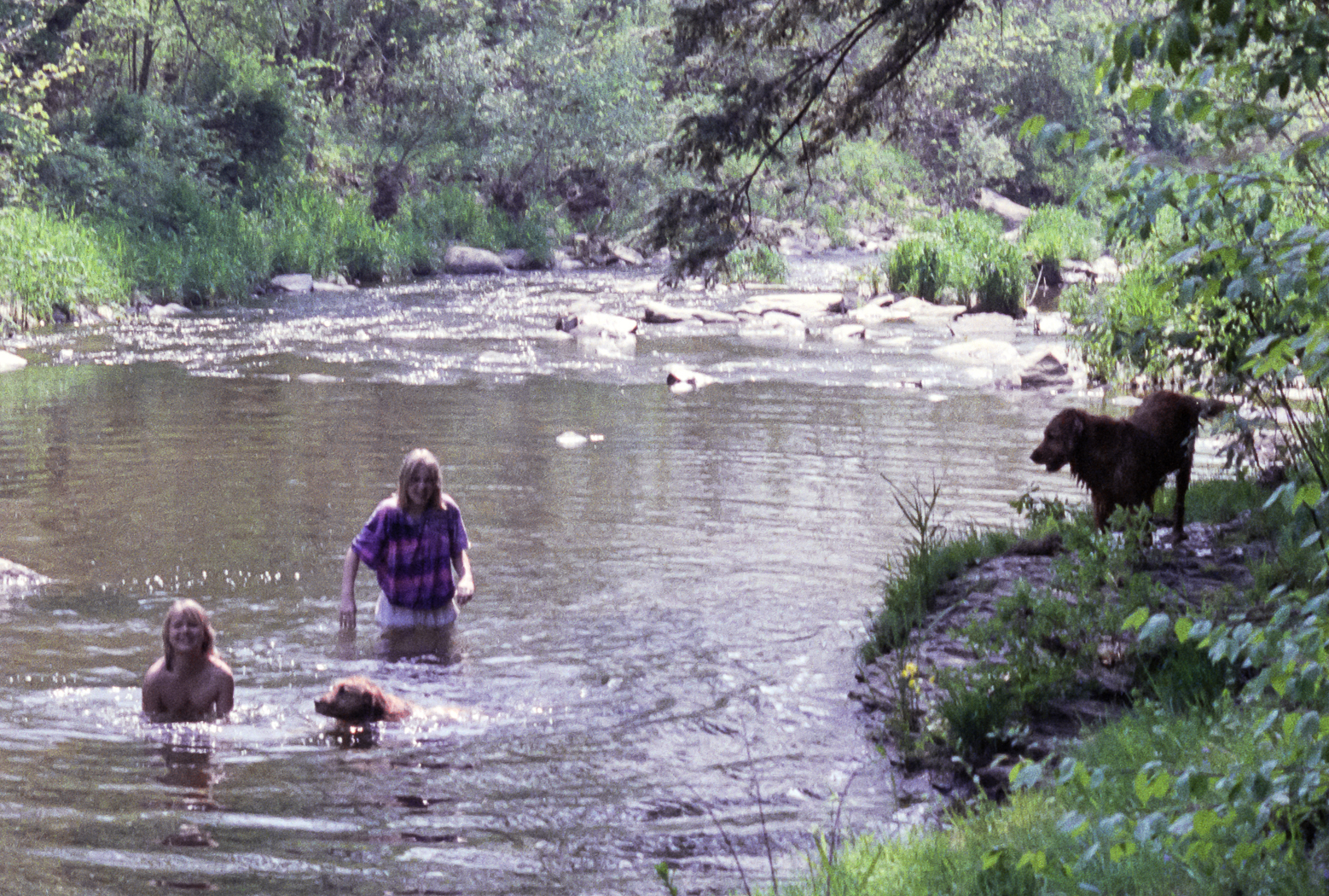 slideshow image