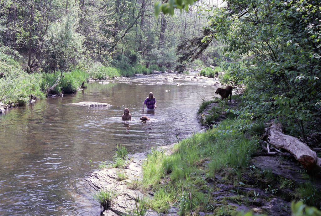 slideshow image