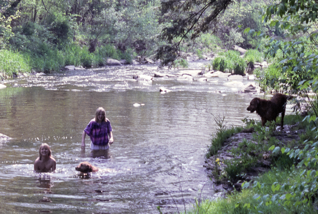 slideshow image