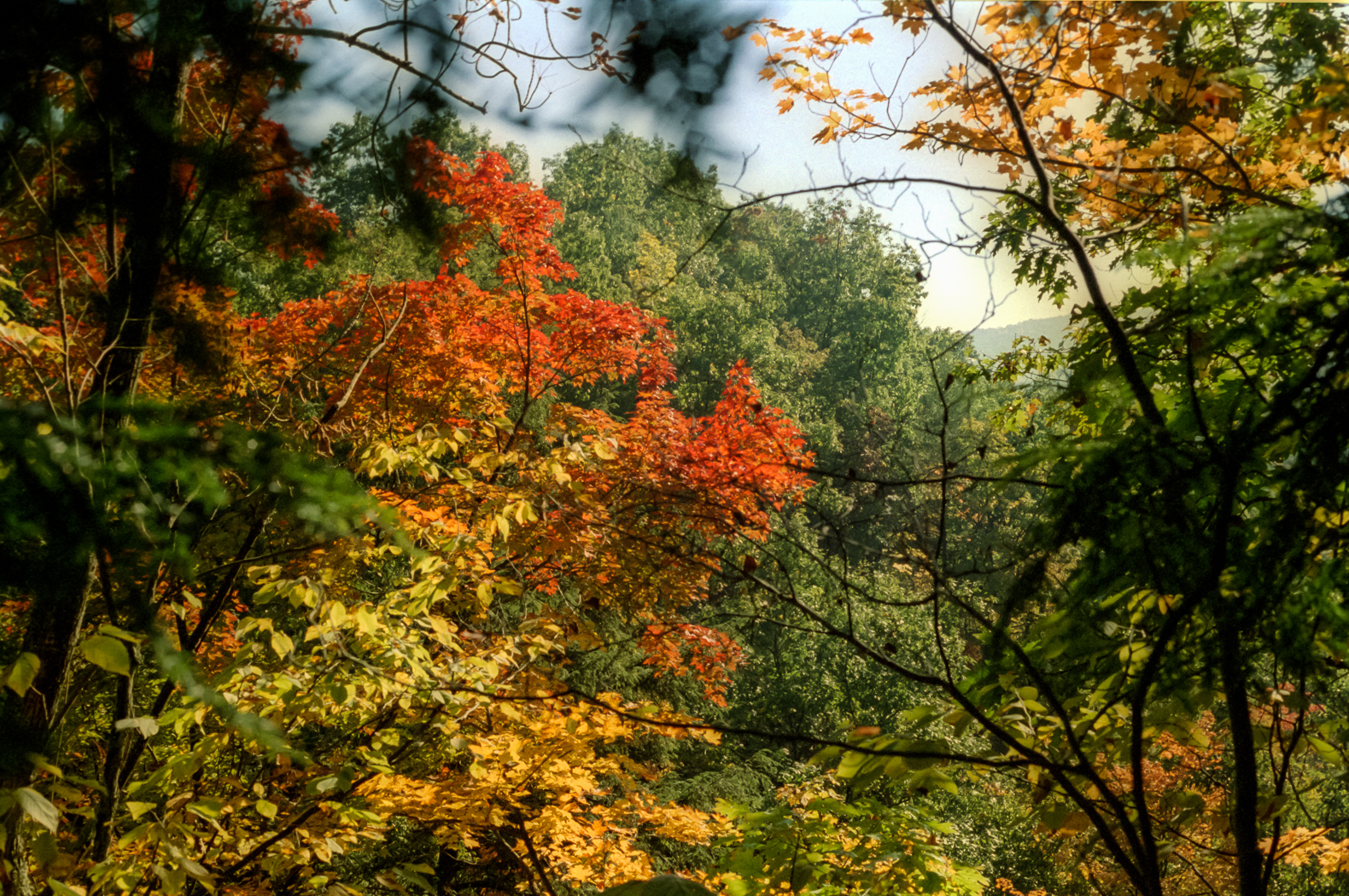 slideshow image