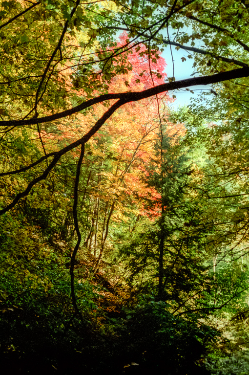 slideshow image