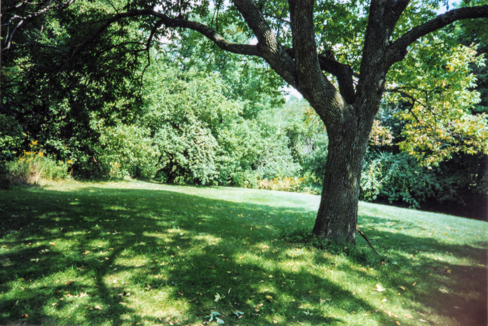 slideshow image