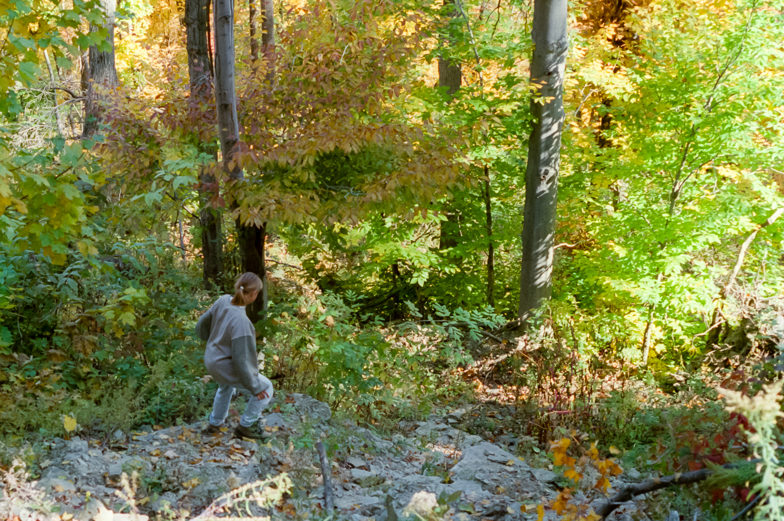 slideshow image