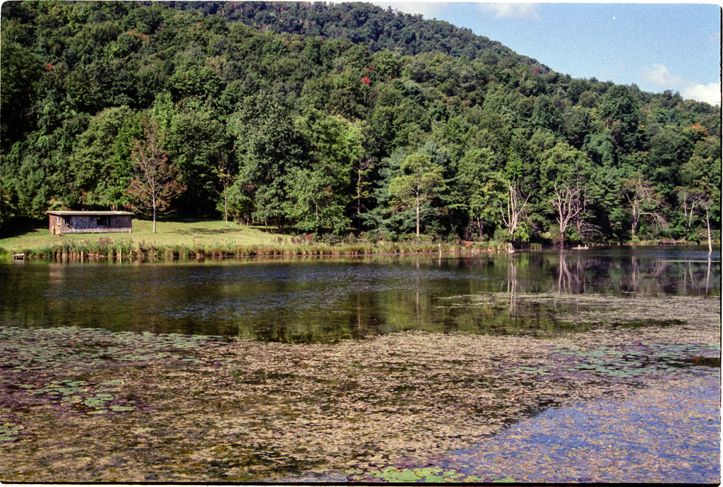 slideshow image