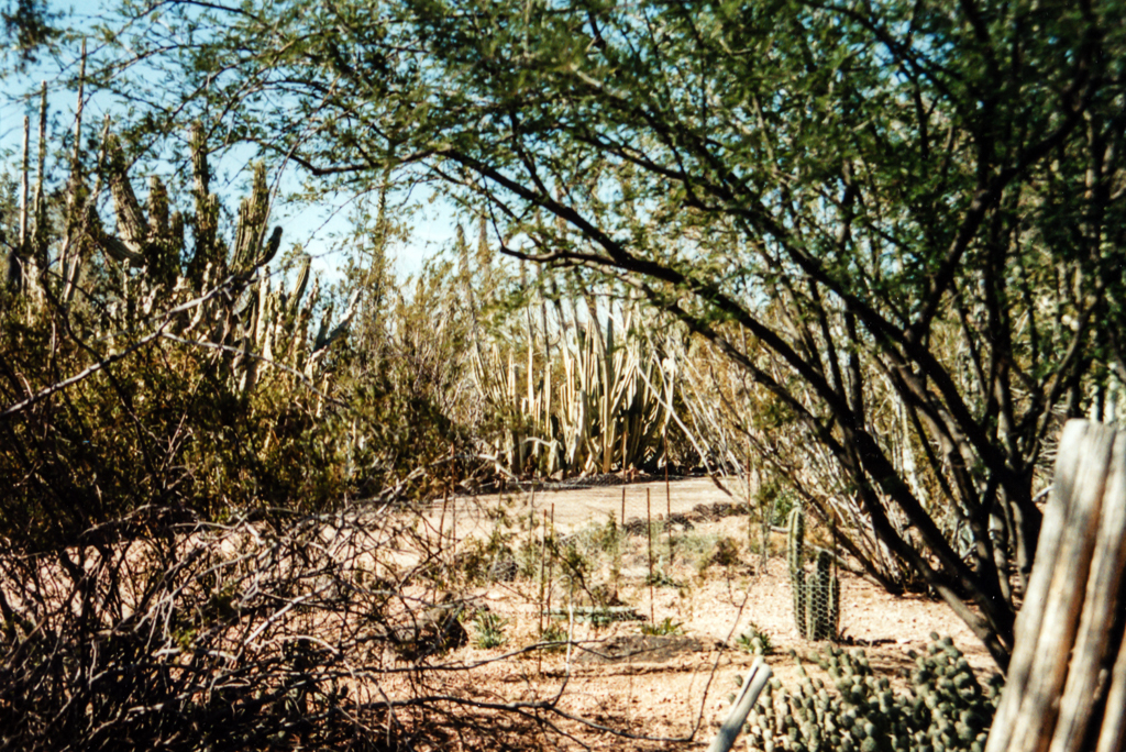 slideshow image