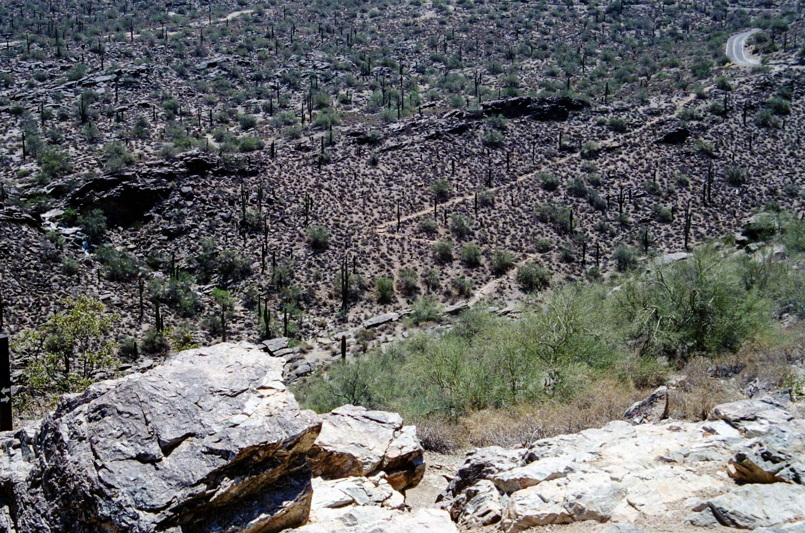 slideshow image
