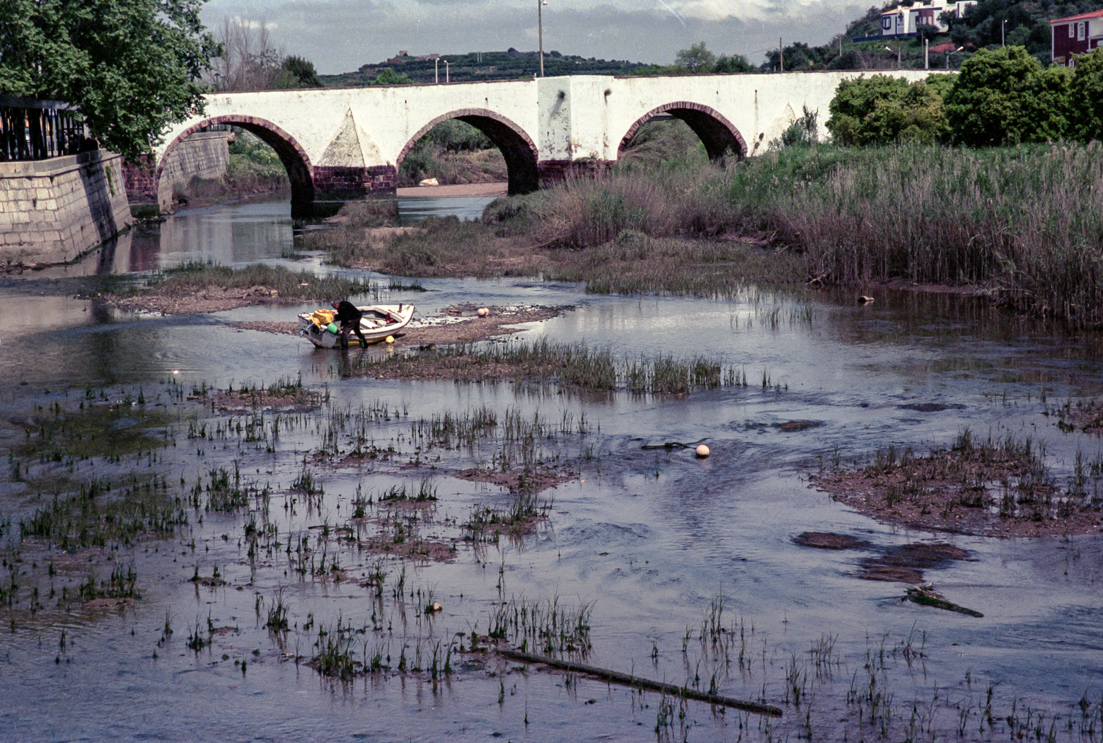 slideshow image