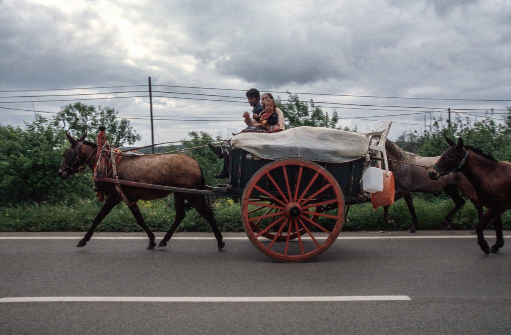 slideshow image