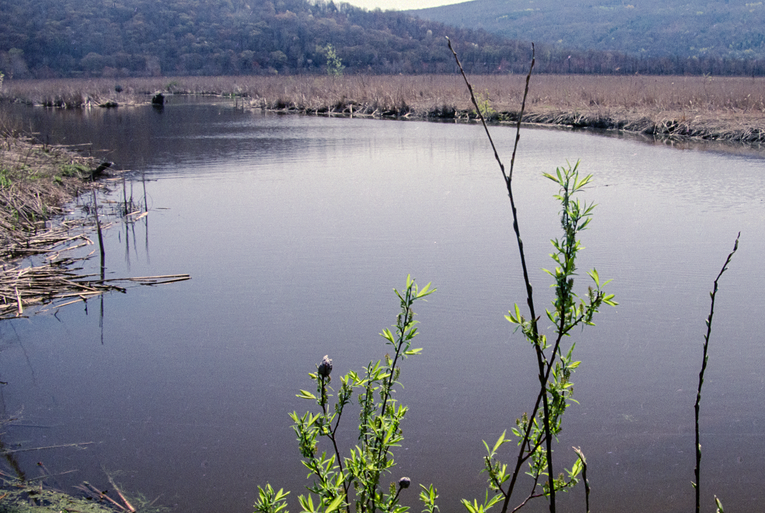 slideshow image