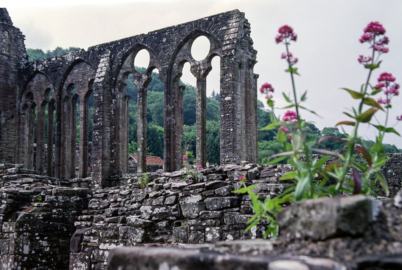 slideshow image