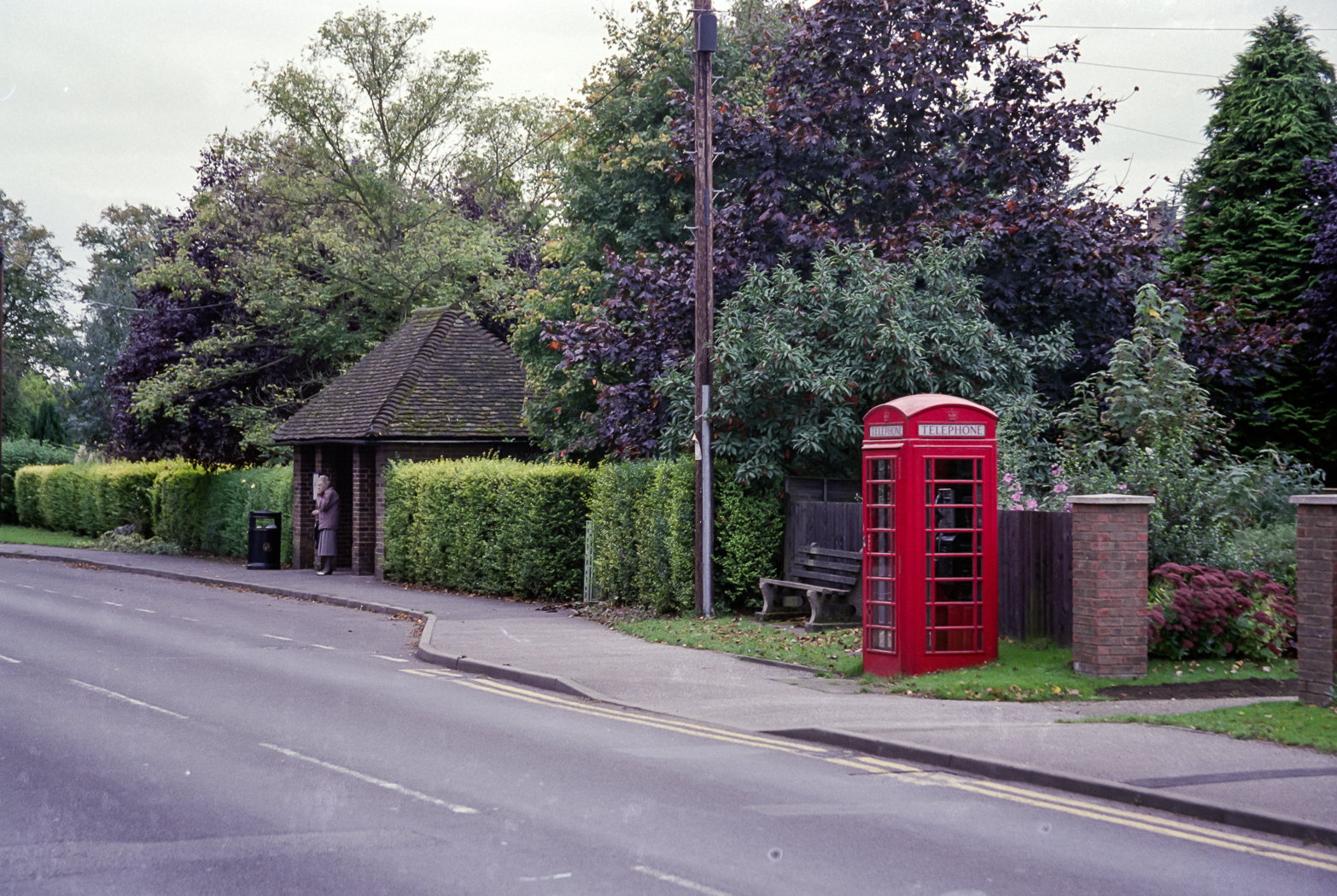 slideshow image