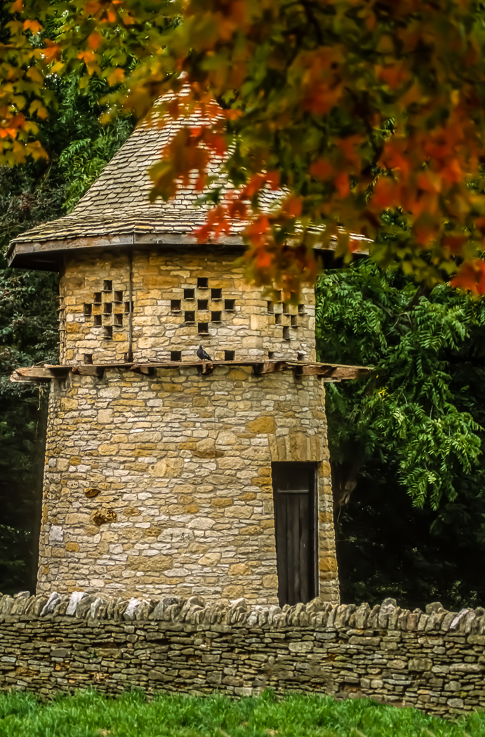 slideshow image