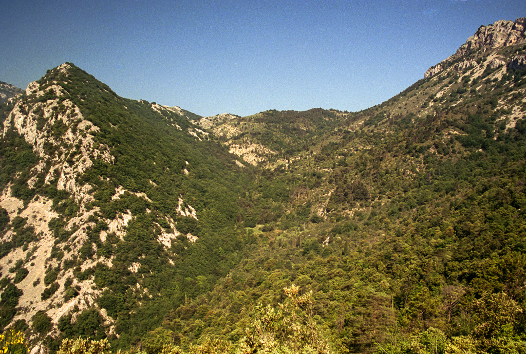 slideshow image