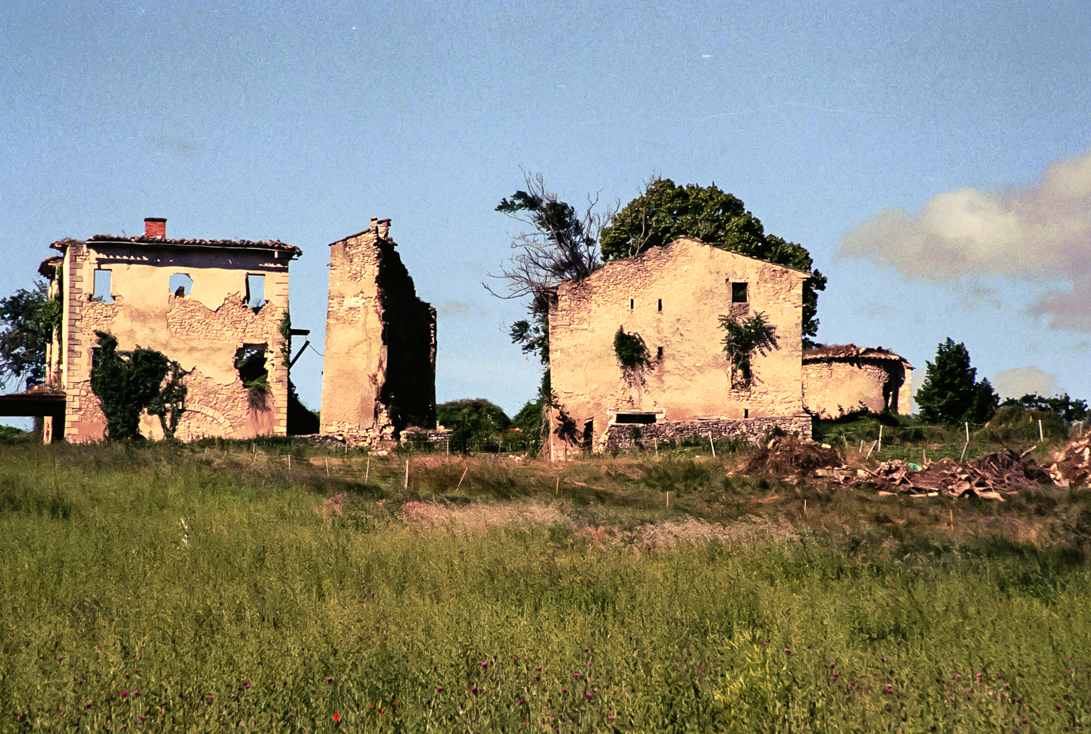 slideshow image