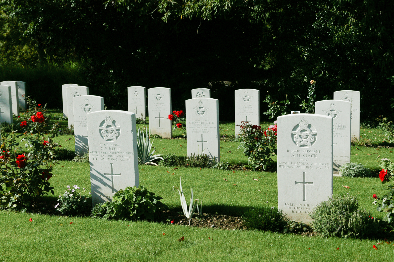 slideshow image