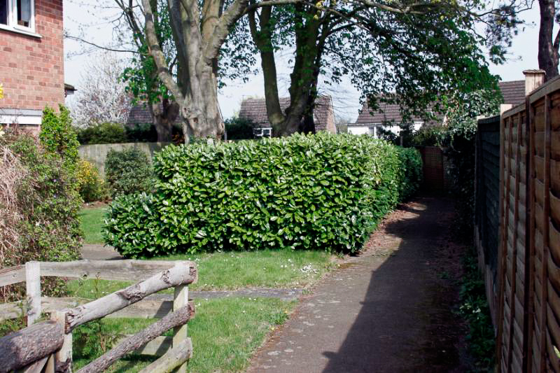 slideshow image