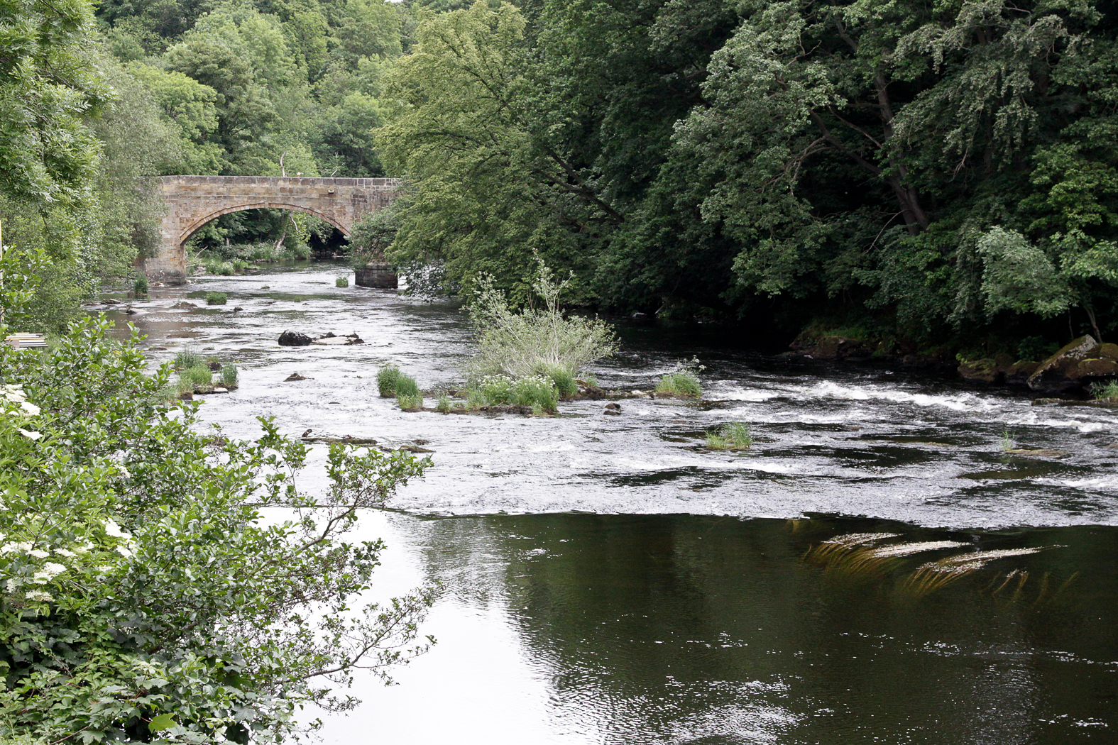 slideshow image