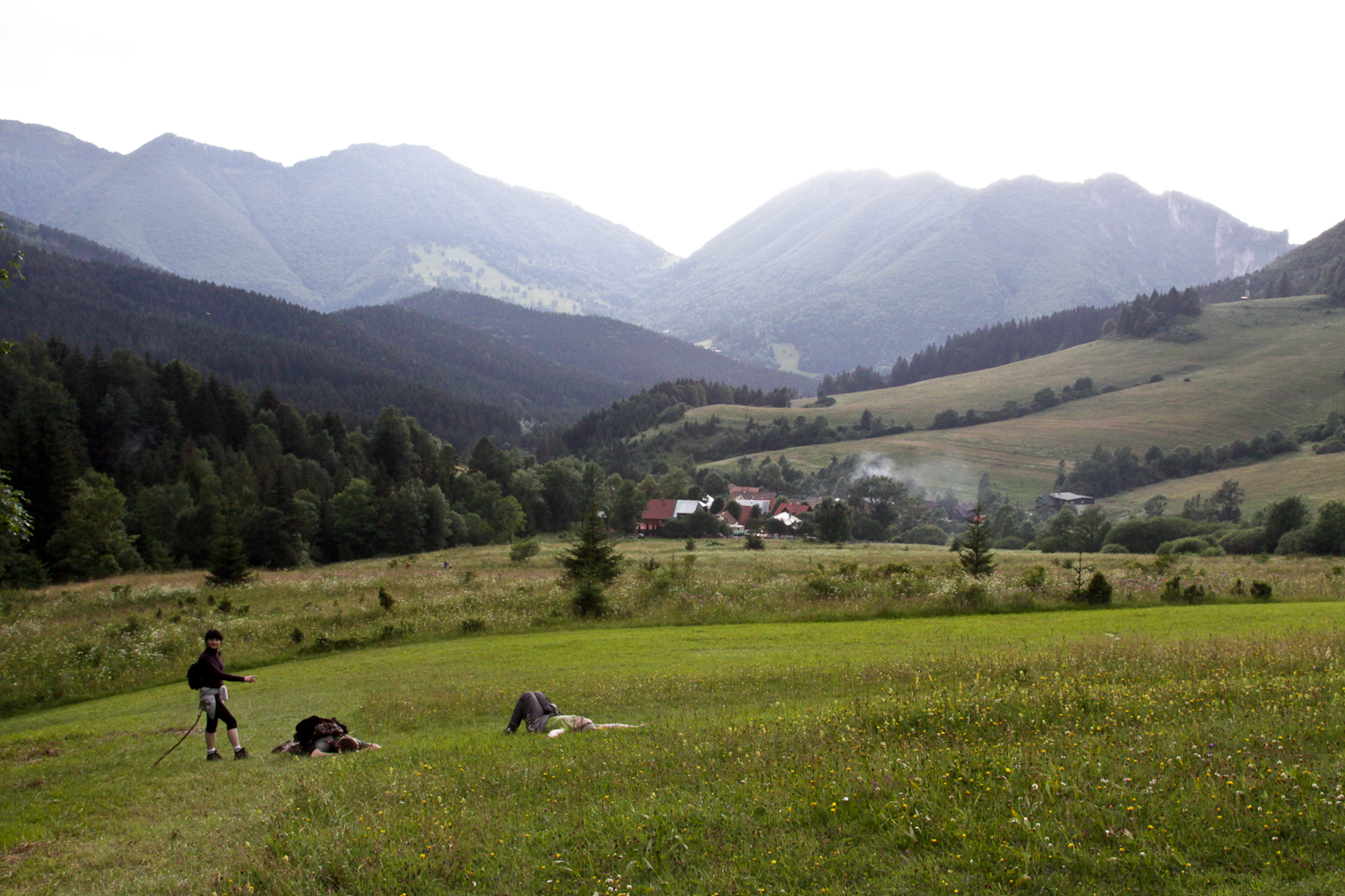 slideshow image