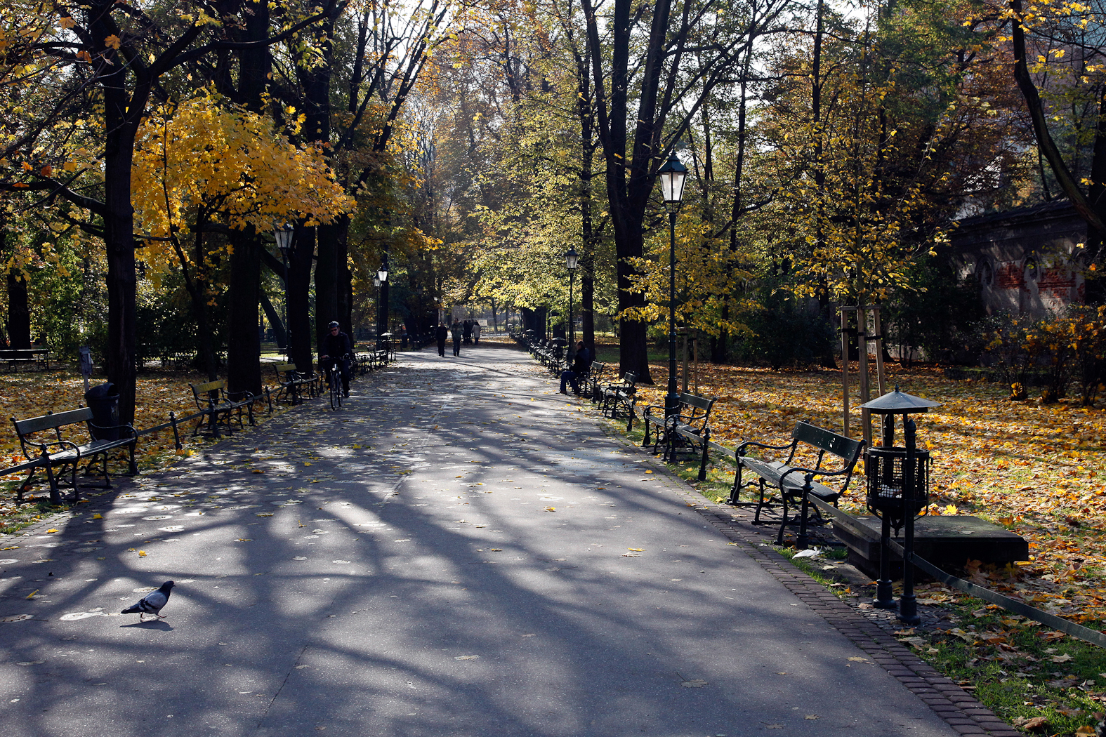 slideshow image