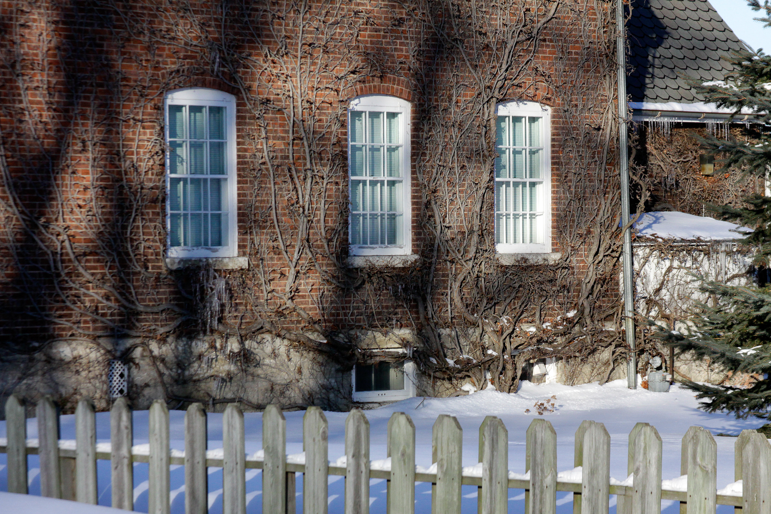 slideshow image