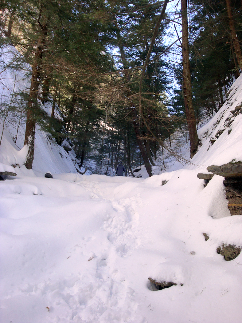 slideshow image