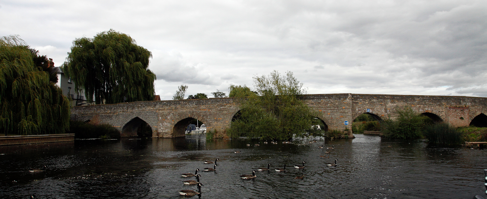 slideshow image