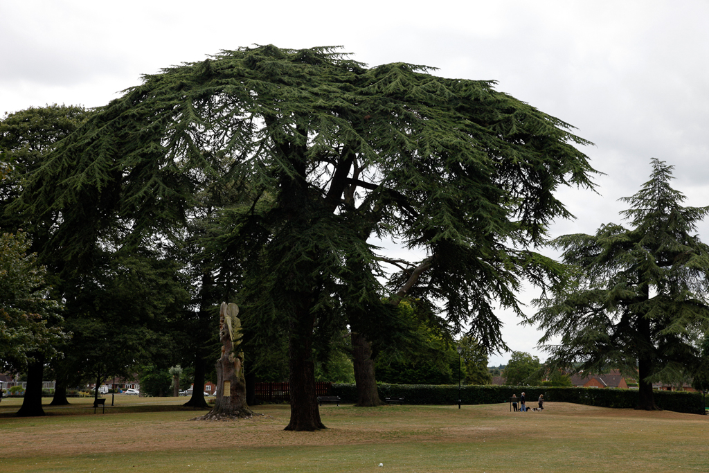 slideshow image