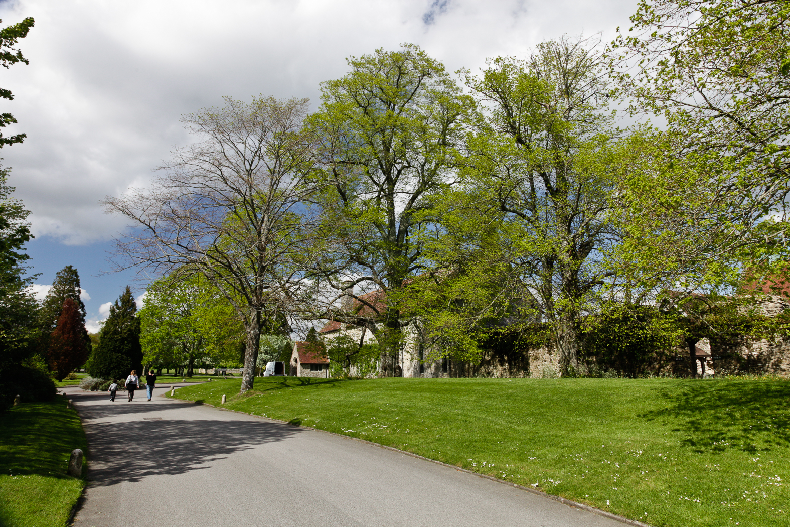 slideshow image