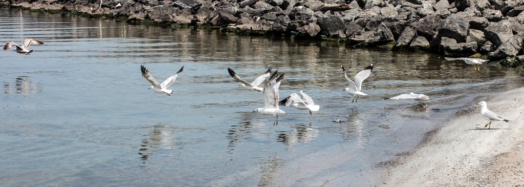 slideshow image