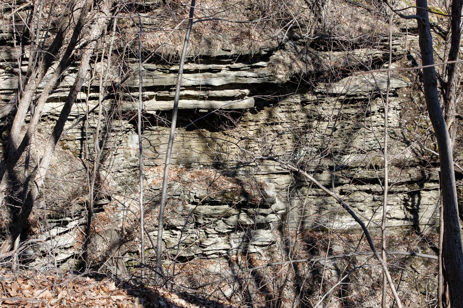 slideshow image