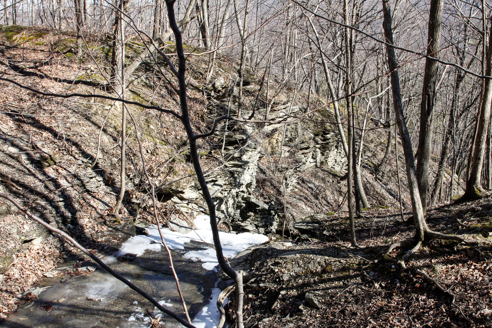 slideshow image