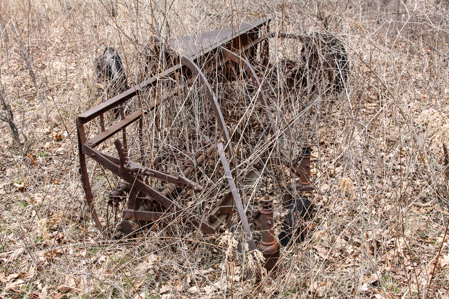 slideshow image