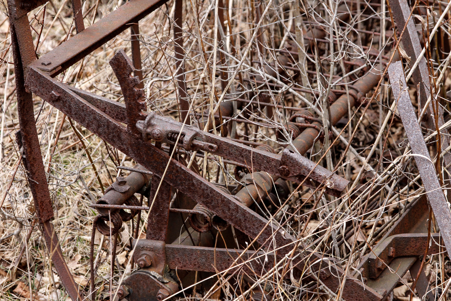 slideshow image