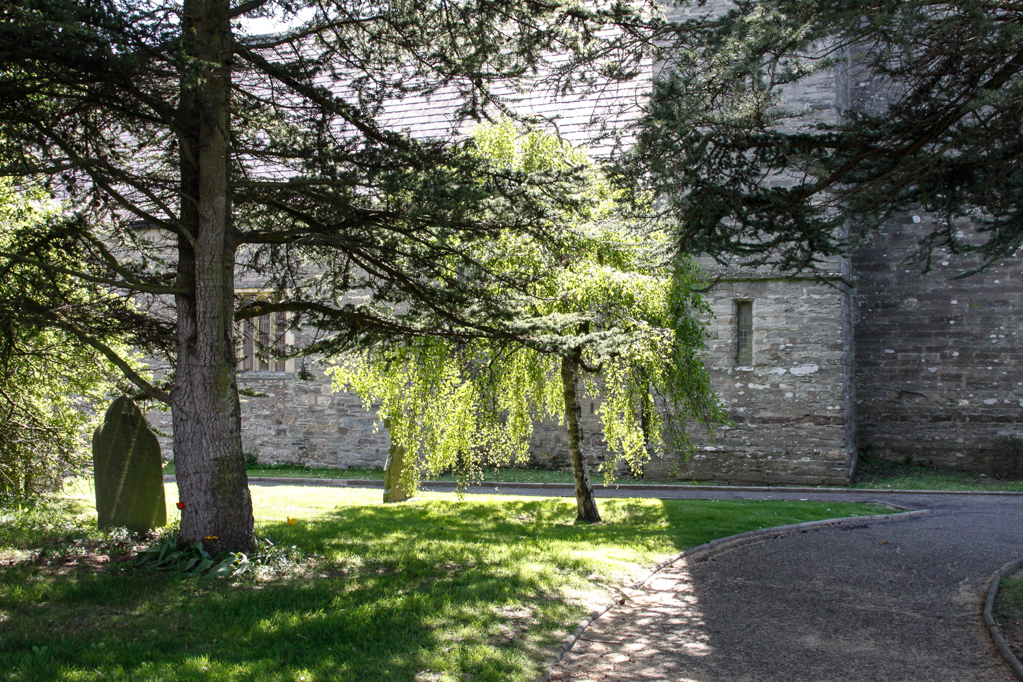 slideshow image