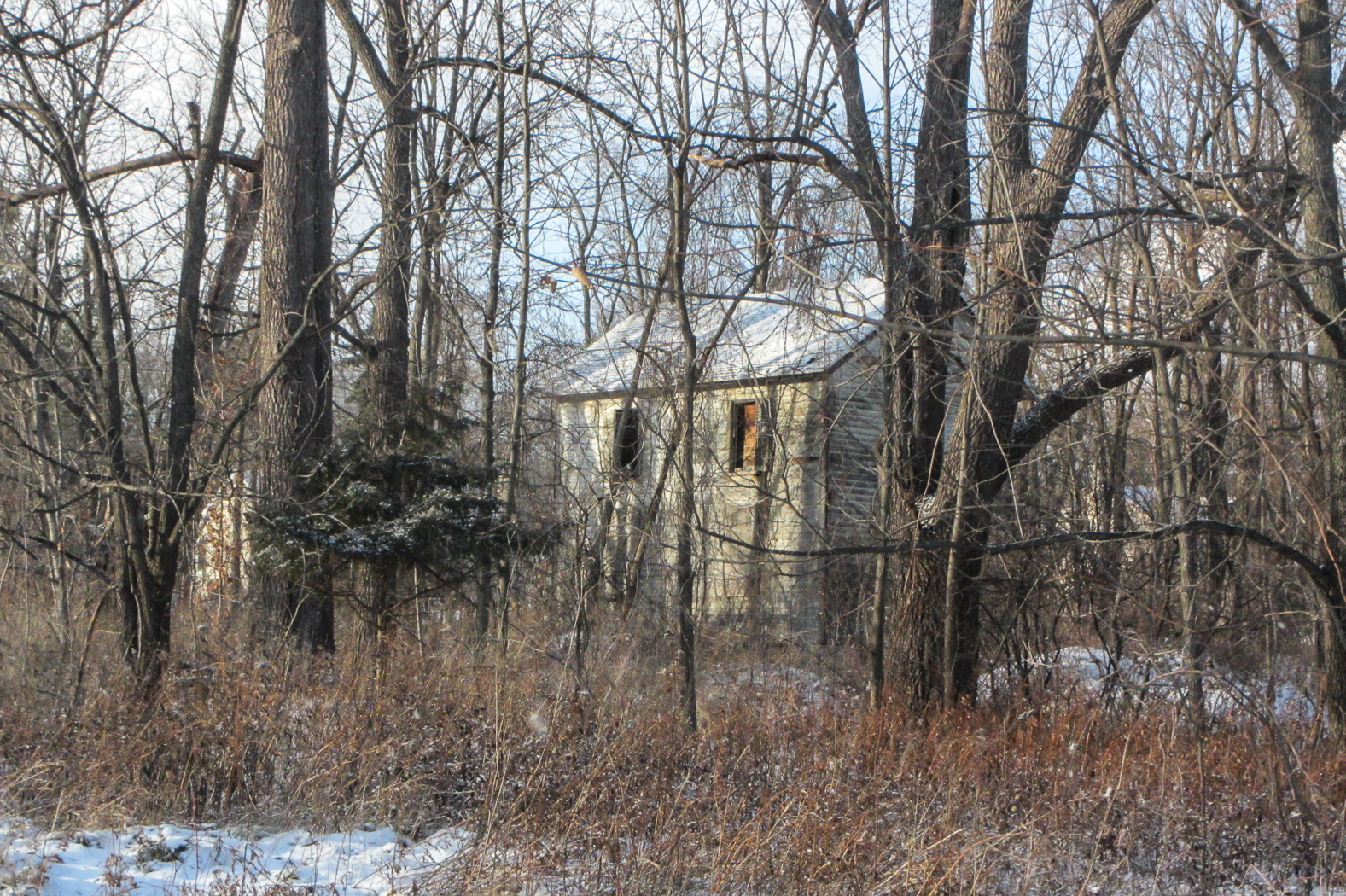 slideshow image