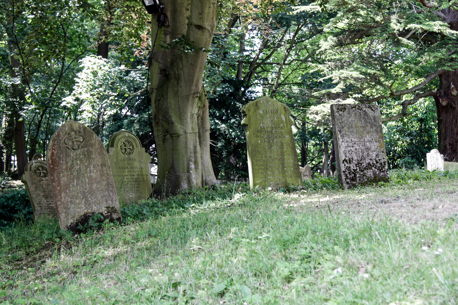 slideshow image