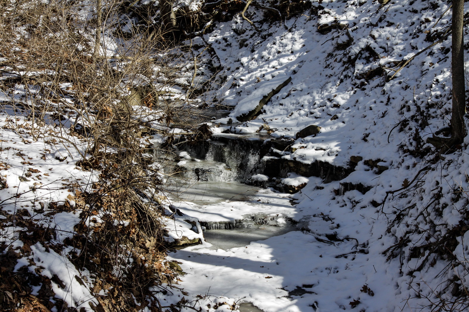 slideshow image