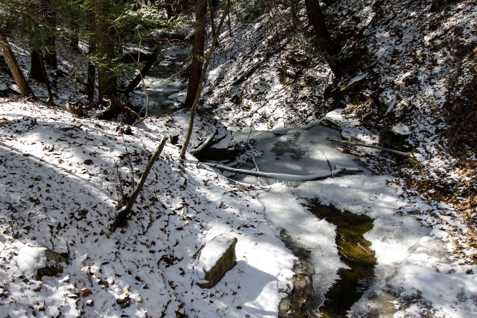slideshow image