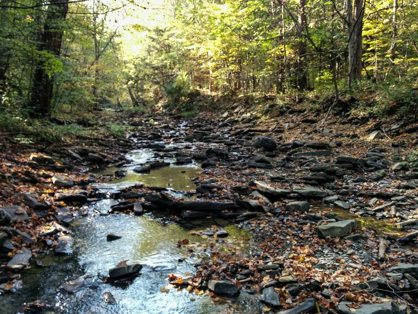 slideshow image