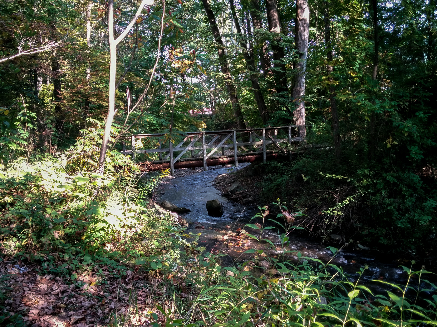 slideshow image