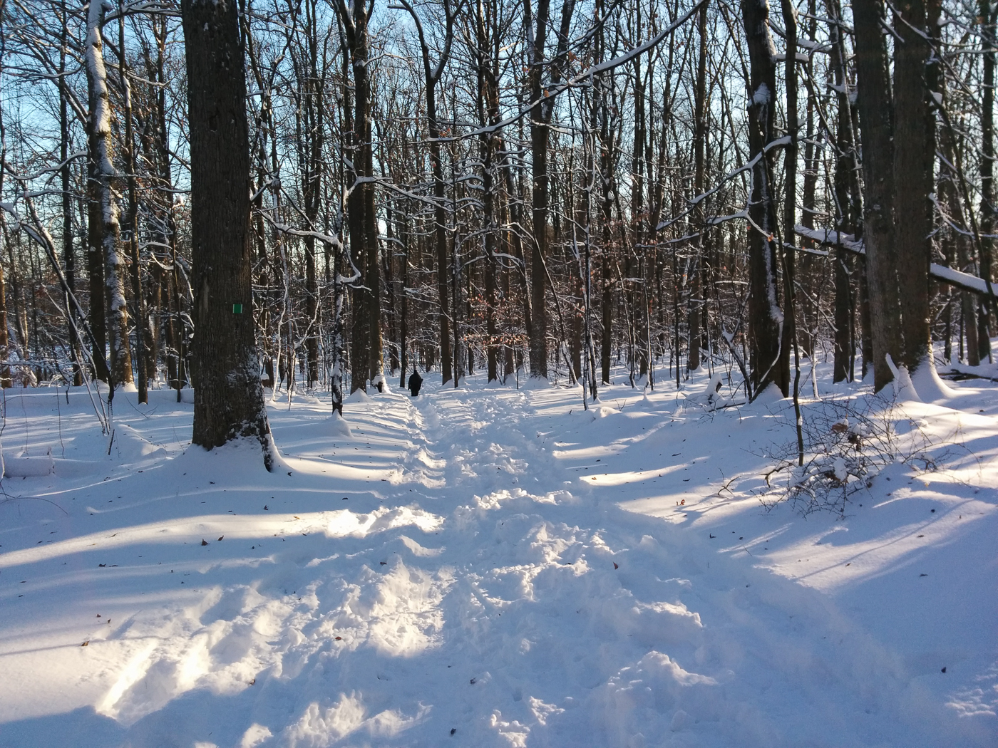 slideshow image