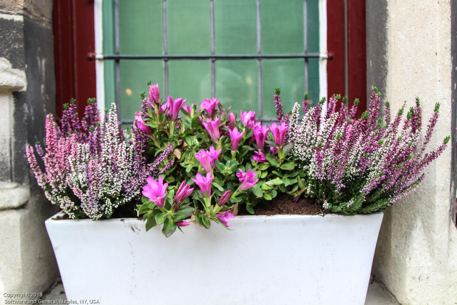 slideshow image