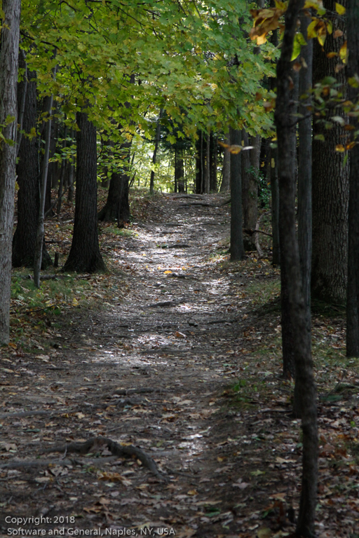 slideshow image